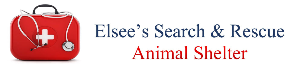 Elsee’s Search & Rescue Foundation